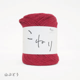 13 山ぶどう