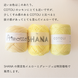 sawada itto：サワダイット-SHANA- Limited Color