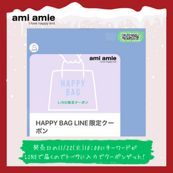 【11月22日(水)午後12:00から】2023 x'mas HAPPY BAG | ami amie（アミアミ）