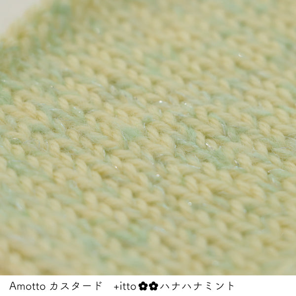 sawada itto：サワダイット-プラスイット+itto-ハナハナ