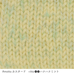 sawada itto：サワダイット-プラスイット+itto-ハナハナ