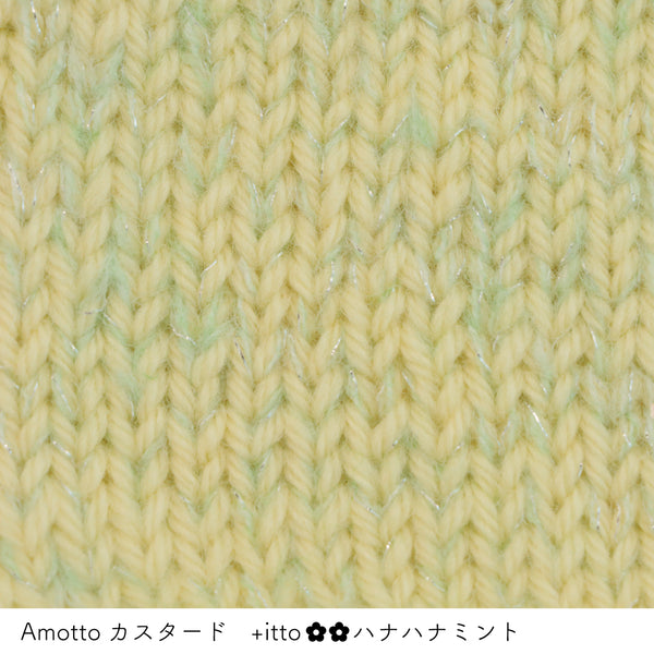 sawada itto：サワダイット-プラスイット+itto-ハナハナ