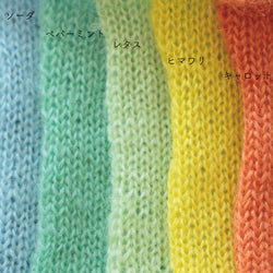 sawada itto：サワダイット-Liion-ハナハナシュシュ