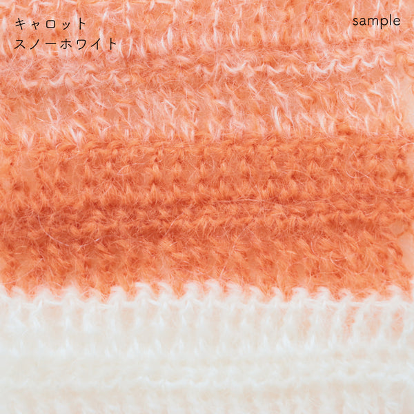 sawada itto：サワダイット-Liion-