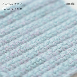 sawada itto：サワダイット-Liion-