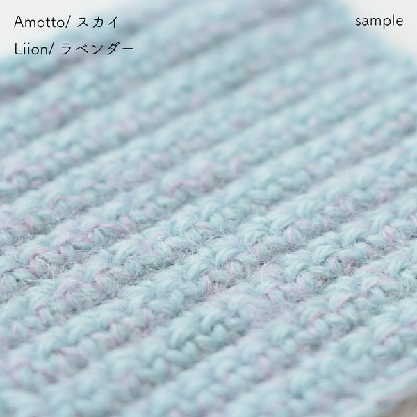 sawada itto：サワダイット-Liion-