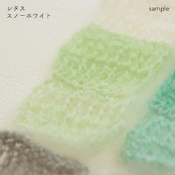 sawada itto：サワダイット-Liion-