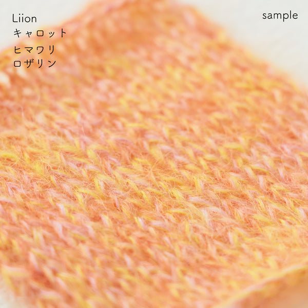 sawada itto：サワダイット-Liion-