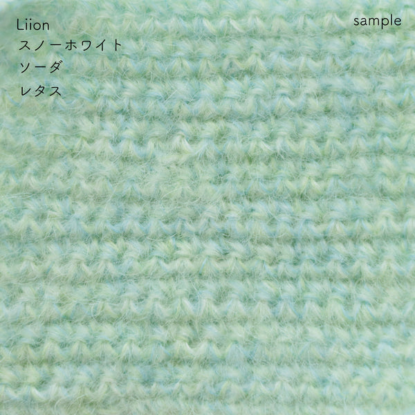 sawada itto：サワダイット-Liion-