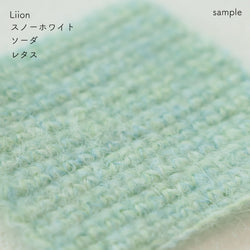 sawada itto：サワダイット-Liion-