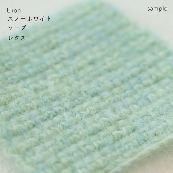 sawada itto：サワダイット-Liion-