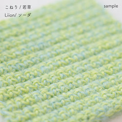 sawada itto：サワダイット-Liion-