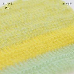 sawada itto：サワダイット-Liion-