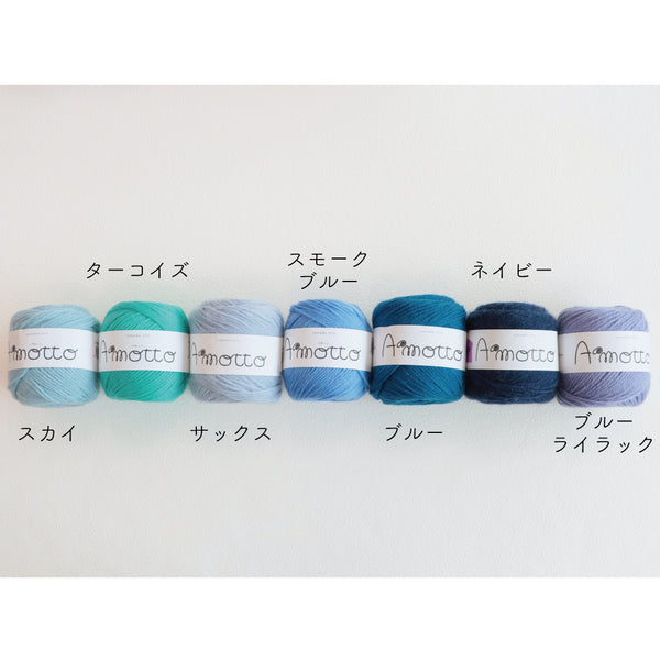 sawada itto：サワダイット-Amotto-模様編みソックスキット