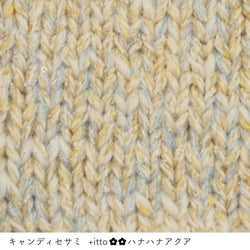 sawada itto：サワダイット-プラスイット+itto-ハナハナ