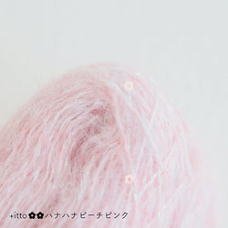 sawada itto：サワダイット-プラスイット+itto-ハナハナ