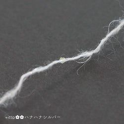 sawada itto：サワダイット-Liion-ハナハナシュシュ