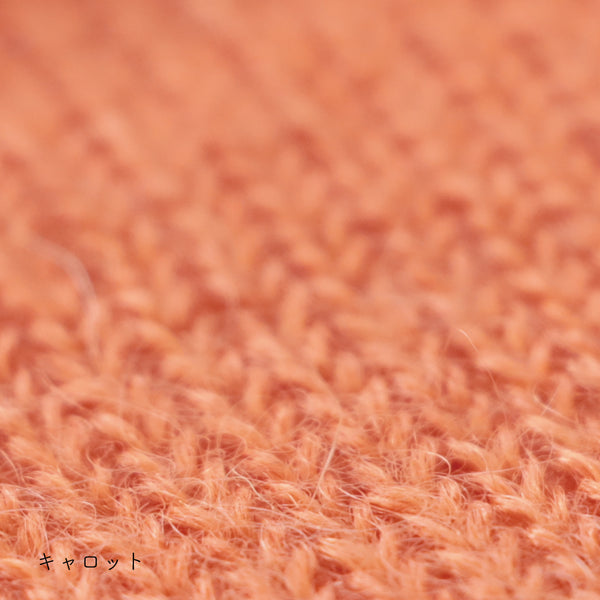 sawada itto：サワダイット-Liion-ハナハナシュシュ