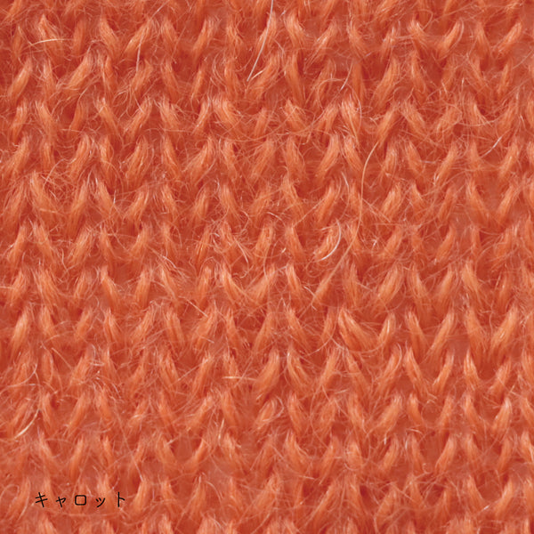 sawada itto：サワダイット-Liion-