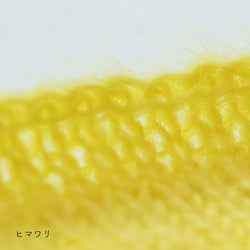 sawada itto：サワダイット-Liion-