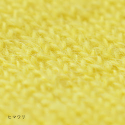 sawada itto：サワダイット-Liion-