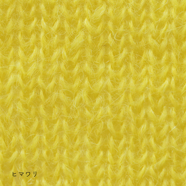 sawada itto：サワダイット-Liion-