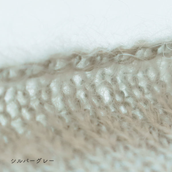 sawada itto：サワダイット-Liion-ハナハナシュシュ