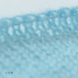 sawada itto：サワダイット-Liion-ハナハナシュシュ