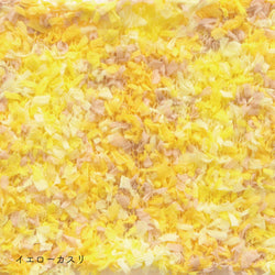 sawada itto：サワダイット-puny eco × petal-キッズカーディガンキット