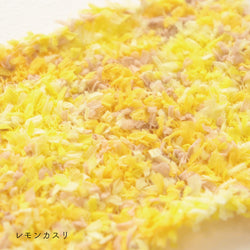 sawada itto：サワダイット-puny eco × petal-キッズカーディガンキット