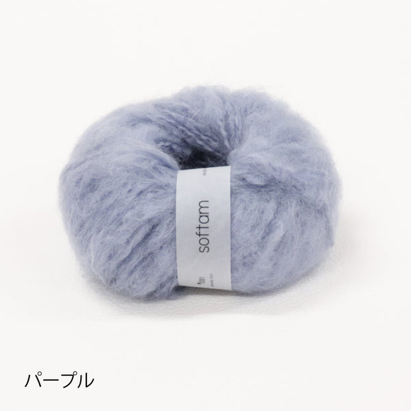 sawada itto：サワダイット-softam-ホリデーシュシュキット