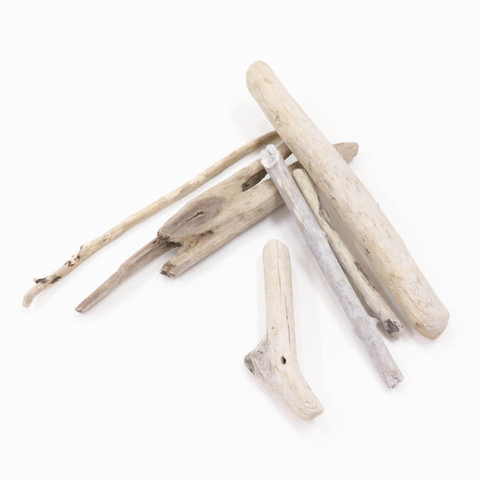 sawada itto：サワダイット-ittoの流木-