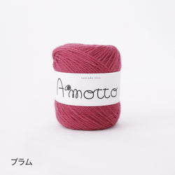 sawada itto：サワダイット-Amotto-模様編みソックスキット