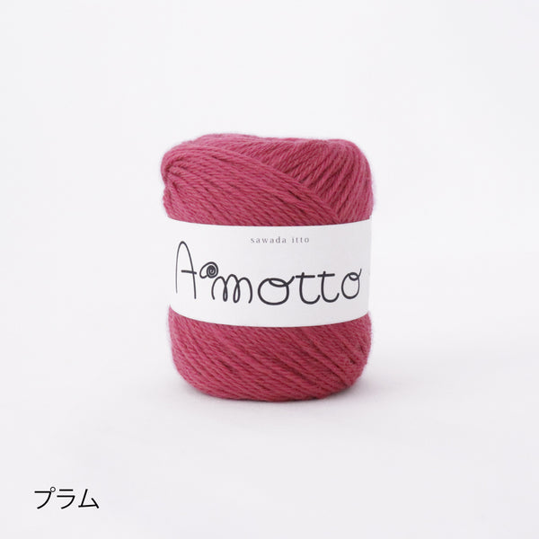 sawada itto：サワダイット-Amotto-模様編みソックスキット