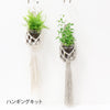 sawada itto：サワダイット-Natural Cotton 20P-