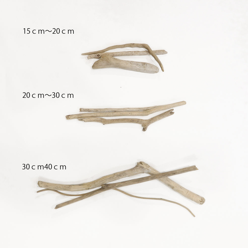 sawada itto：サワダイット-ittoの流木-