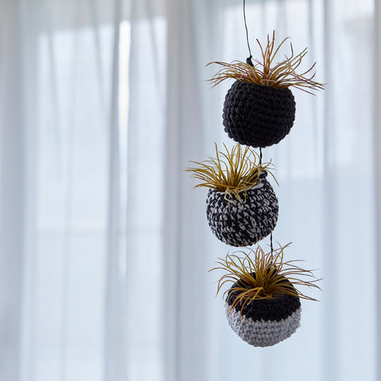 sawada itto：サワダイット-amuri-ちびまるバスケット